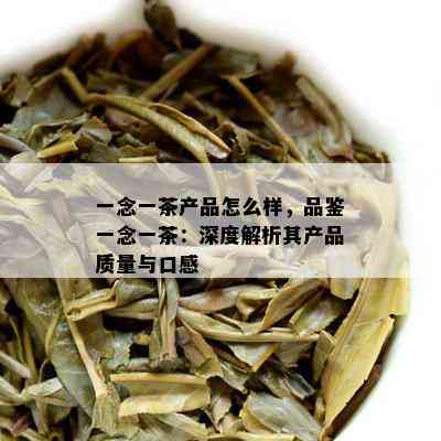 一念一茶产品怎么样，品鉴一念一茶：深度解析其产品品质与口感