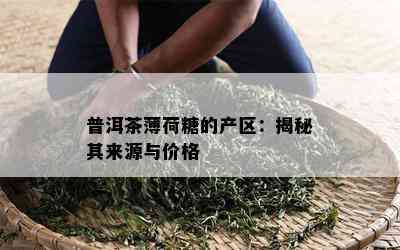 普洱茶薄荷糖的产区：揭秘其来源与价格