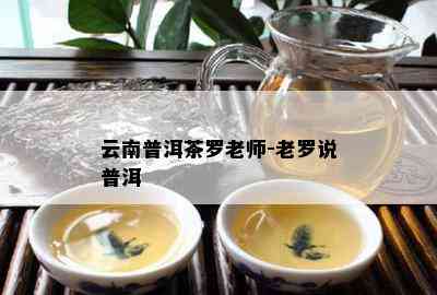 云南普洱茶罗老师-老罗说普洱