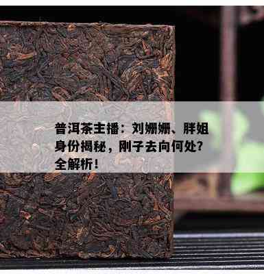 普洱茶主播：刘姗姗、胖姐身份揭秘，刚子去向何处？全解析！