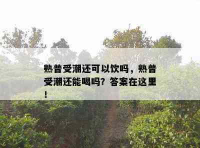 熟普受潮还可以饮吗，熟普受潮还能喝吗？答案在这里！