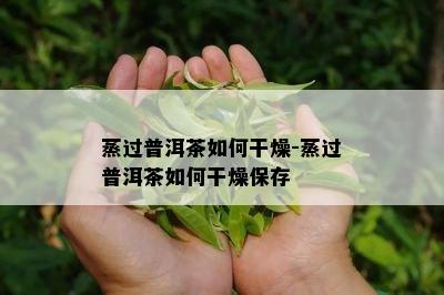 蒸过普洱茶怎样干燥-蒸过普洱茶怎样干燥保存