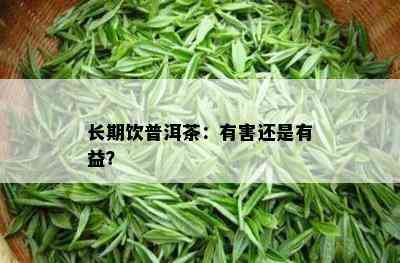 长期饮普洱茶：有害还是有益？