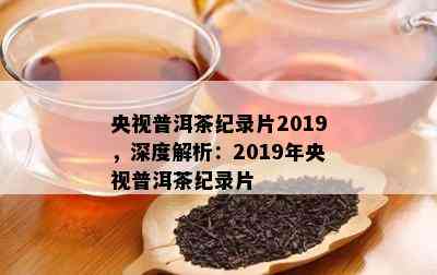 央视普洱茶纪录片2019，深度解析：2019年央视普洱茶纪录片