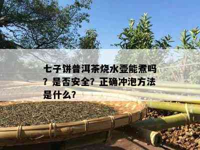 七子饼普洱茶烧水壶能煮吗？是不是安全？正确冲泡方法是什么？