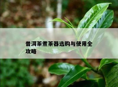 普洱茶煮茶器选购与采用全攻略