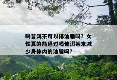 喝普洱茶可以排油脂吗？女性真的能通过喝普洱茶来减少身体内的油脂吗？