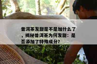 普洱茶发甜是不是加什么了，揭秘普洱茶为何发甜：是不是添加了特殊成分？