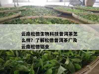 云南松德生物科技普洱茶怎么样？熟悉松德普洱茶厂及云南松德铝业