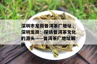 深圳市龙岗普洱茶厂地址，深圳龙岗：探访普洱茶文化的源头——普洱茶厂地址解析