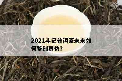 2021斗记普洱茶未来怎样鉴别真伪？