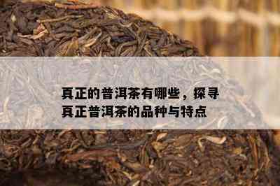 真正的普洱茶有哪些，探寻真正普洱茶的品种与特点