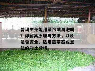 普洱生茶能用蒸汽喷淋泡吗？详解其原理与方法，以及是不是安全、适用蒸茶器或煮法的对比分析。