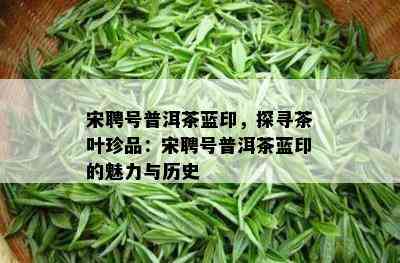 宋聘号普洱茶蓝印，探寻茶叶珍品：宋聘号普洱茶蓝印的魅力与历史