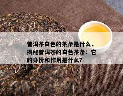 普洱茶白色的茶条是什么，揭秘普洱茶的白色茶条：它的身份和作用是什么？