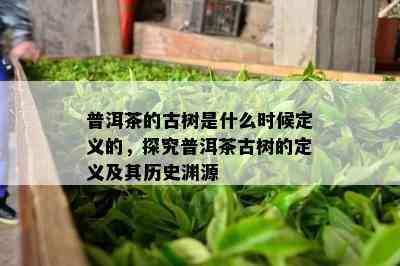 普洱茶的古树是什么时候定义的，探究普洱茶古树的定义及其历史渊源