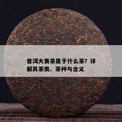 普洱大黄茶属于什么茶？详解其茶类、茶种与含义