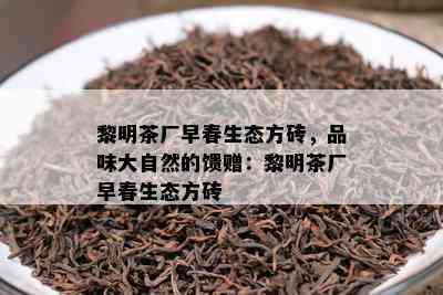 黎明茶厂早春生态方砖，品味大自然的馈赠：黎明茶厂早春生态方砖