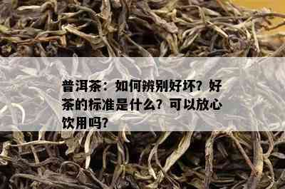 普洱茶：如何辨别好坏？好茶的标准是什么？可以放心饮用吗？