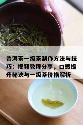 普洱茶一级茶制作方法与技巧：视频教程分享，口感提升秘诀与一级茶价格解析