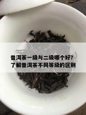 普洱茶一级与二级哪个好？熟悉普洱茶不同等级的区别