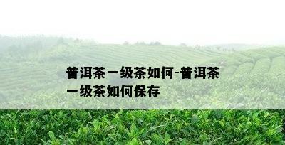 普洱茶一级茶怎样-普洱茶一级茶怎样保存