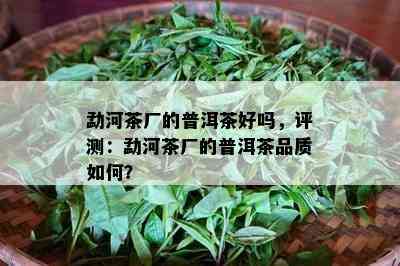 勐河茶厂的普洱茶好吗，评测：勐河茶厂的普洱茶品质怎样？