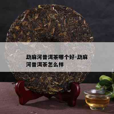 勐麻河普洱茶哪个好-勐麻河普洱茶怎么样