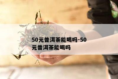 50元普洱茶能喝吗-50元普洱茶能喝吗