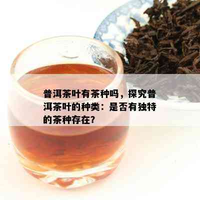 普洱茶叶有茶种吗，探究普洱茶叶的种类：是不是有特别的茶种存在？