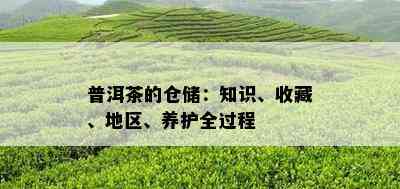 普洱茶的仓储：知识、收藏、地区、养护全过程