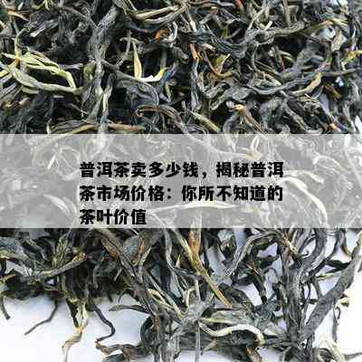 普洱茶卖多少钱，揭秘普洱茶市场价格：你所不知道的茶叶价值