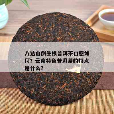 八达山倒生根普洱茶口感怎样？云南特色普洱茶的特点是什么？