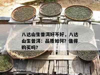 八达山生普洱好不好，八达山生普洱：品质怎样？值得购买吗？