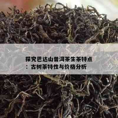 探究巴达山普洱茶生茶特点：古树茶特性与价格分析