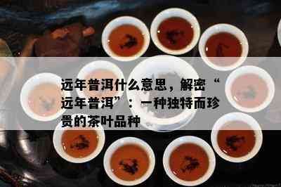 远年普洱什么意思，解密“远年普洱”：一种独特而珍贵的茶叶品种