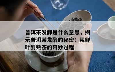 普洱茶发酵是什么意思，揭示普洱茶发酵的秘密：从鲜叶到熟茶的奇妙过程