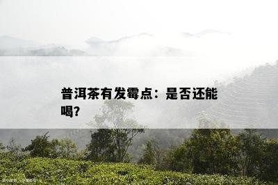 普洱茶有发霉点：是不是还能喝？