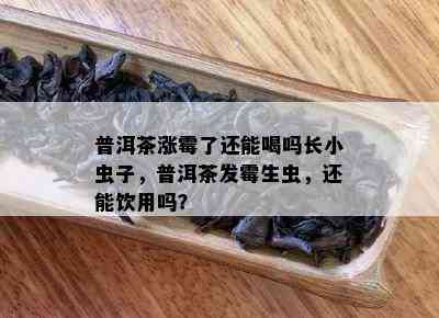 普洱茶涨霉了还能喝吗长小虫子，普洱茶发霉生虫，还能饮用吗？