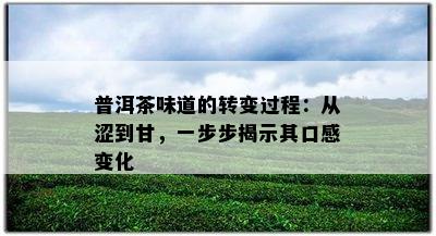 普洱茶味道的转变过程：从涩到甘，一步步揭示其口感变化