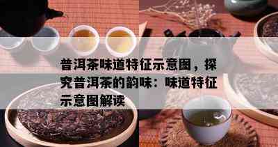 普洱茶味道特征示意图，探究普洱茶的韵味：味道特征示意图解读