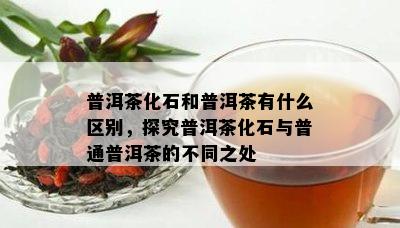 普洱茶化石和普洱茶有什么区别，探究普洱茶化石与普通普洱茶的不同之处