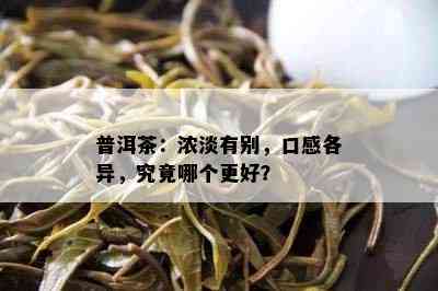 普洱茶：浓淡有别，口感各异，究竟哪个更好？