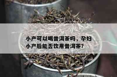 小产可以喝普洱茶吗，孕妇小产后能否饮用普洱茶？