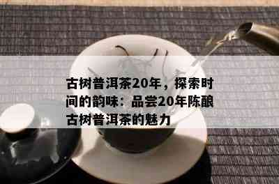 古树普洱茶20年，探索时间的韵味：品尝20年陈酿古树普洱茶的魅力