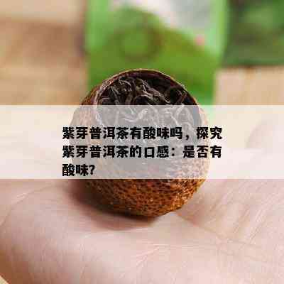 紫芽普洱茶有酸味吗，探究紫芽普洱茶的口感：是否有酸味？