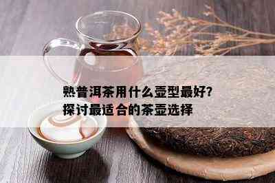 熟普洱茶用什么壶型更好？探讨最适合的茶壶选择