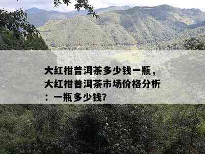 大红柑普洱茶多少钱一瓶，大红柑普洱茶市场价格分析：一瓶多少钱？