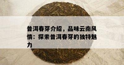 普洱春芽介绍，品味云南风情：探索普洱春芽的特别魅力