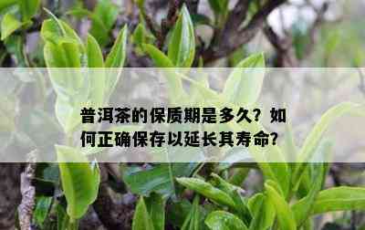 普洱茶的保质期是多久？怎样正保证存以延长其寿命？